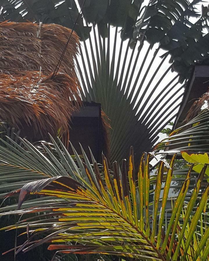 Sabandy Guesthouse Kuah Exterior photo